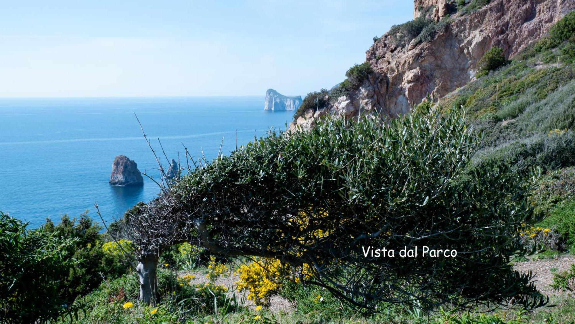 Il Dolce Risveglio Tanca Piras Villa Nebida Bagian luar foto