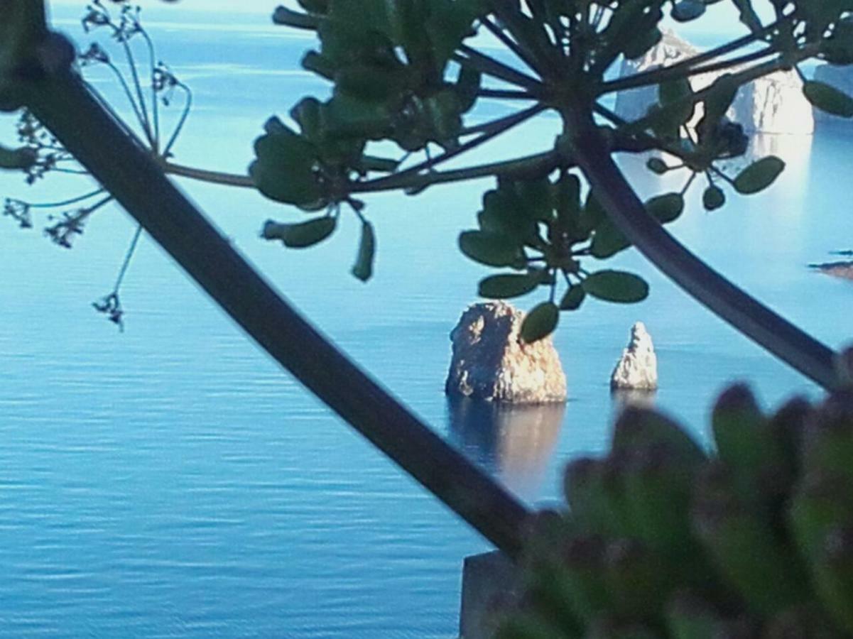 Il Dolce Risveglio Tanca Piras Villa Nebida Bagian luar foto